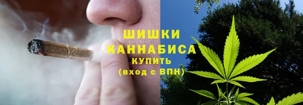 ГАЛЛЮЦИНОГЕННЫЕ ГРИБЫ Володарск