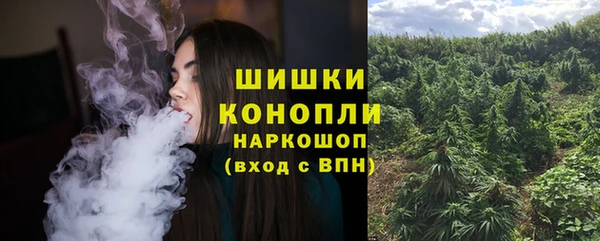 ГАЛЛЮЦИНОГЕННЫЕ ГРИБЫ Володарск