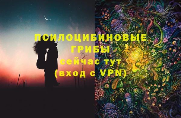 ГАЛЛЮЦИНОГЕННЫЕ ГРИБЫ Волоколамск