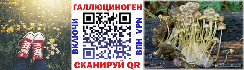Купить закладки  Октябрьск  Псилоцибиновые грибы Psilocybe 